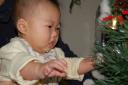 よだれを垂らしながらクリスマスツリーを食べようとする人の図